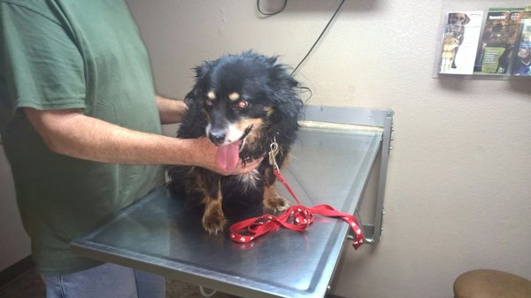 Essential guide to your visit to vatican city: what to know