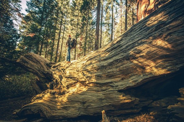 What are the best guided tours for exploring the history of the UK's canal systems?